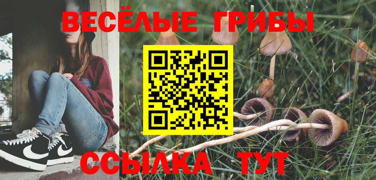 Клинцы  Галлюциногенные грибы Magic Shrooms  сколько стоит  Галлюциногенные грибы Psilocybe  Вход с VPN 