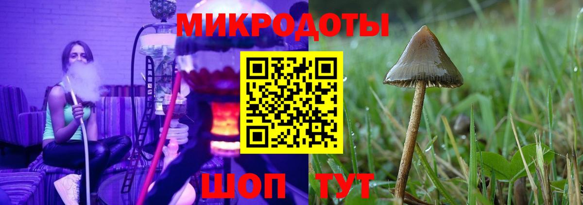 Псилоцибиновые грибы ЛСД Клинцы